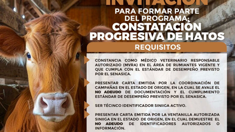 Invitan a veterinarios a formar parte del programa Constatación progresiva de hatos