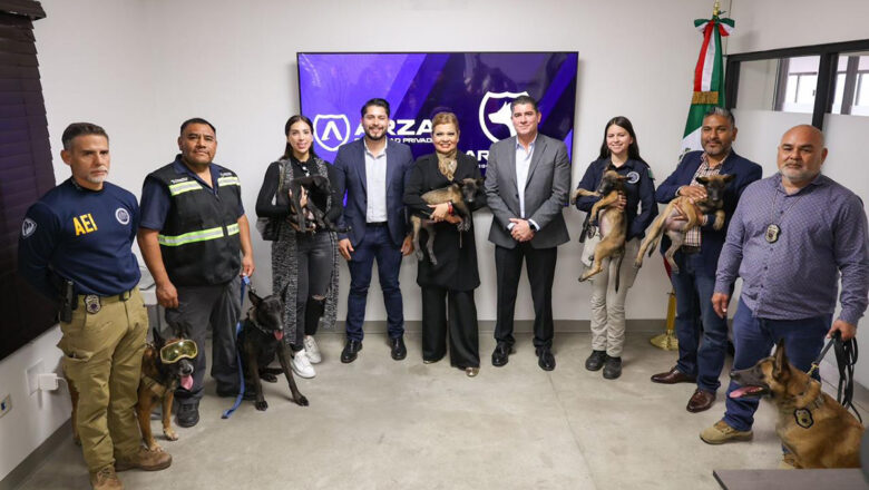 Recibe Fiscalía en donación 4 cachorros para unidad K9