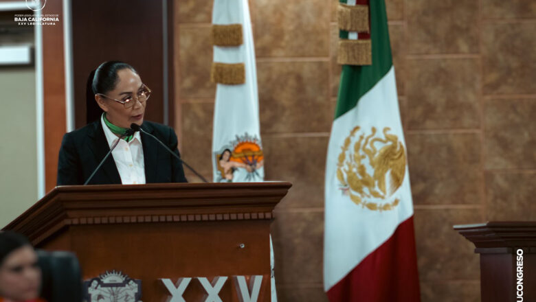 Plantean veterinarias públicas gratuitas