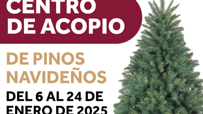 Instala Ayuntamiento 12 centros de acopio de pinos navideños