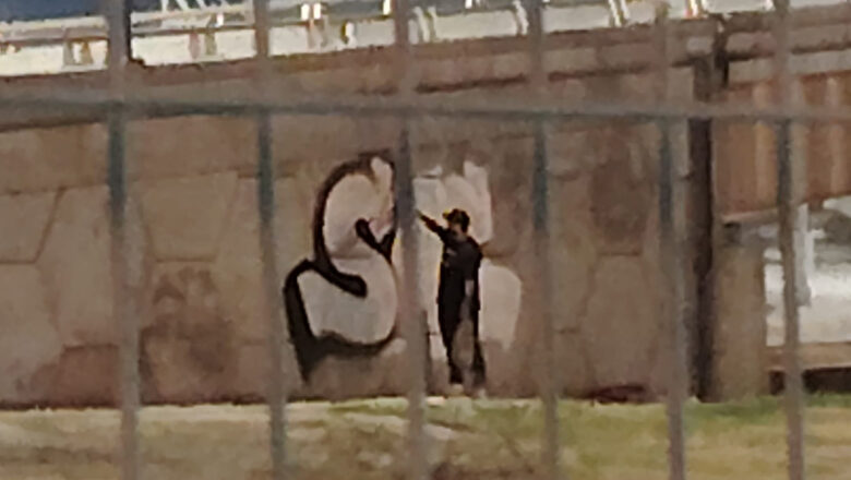 Detienen a treintón graffitero, dejaba su marca en el puente “Hot Wheels”