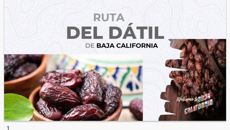 Formalizan la Ruta del Dátil en el Valle de Mexicali