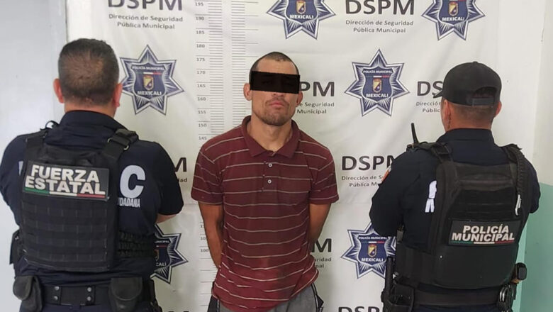 Detienen DSPM y FESC a persona agresiva en Huertas del Colorado