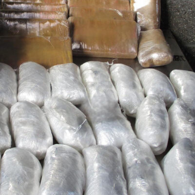 CBP en San Diego decomisa más de 14 mdd en narcóticos en marzo