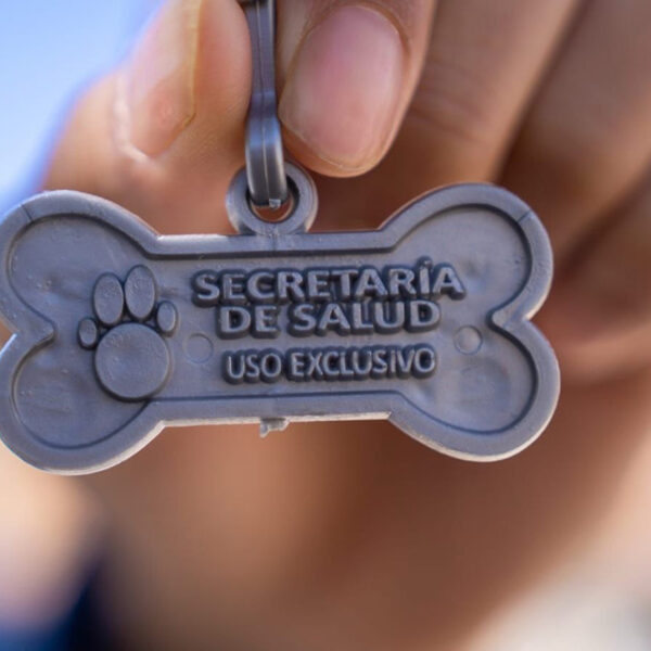 Vacunan a más de 67 mil mascotas en el primer trimestre del año