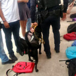 Realizan operativo de filtro escolar en CBTIS 140