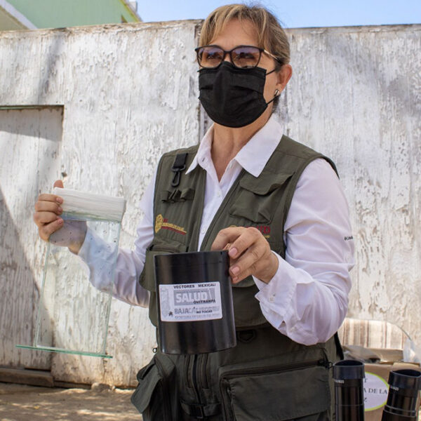 Consolida BC estrategias de prevención de enfermedades transmitidas por vector 