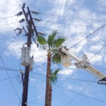 Cortan palmera y provocan apagón en el edificio del Ejecutivo del estado 