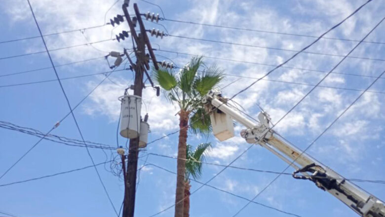 Cortan palmera y provocan apagón en el edificio del Ejecutivo del estado 