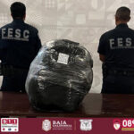 Asegura FESC más de 17 kilos de marihuana en Tijuana